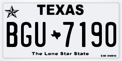 TX license plate BGU7190