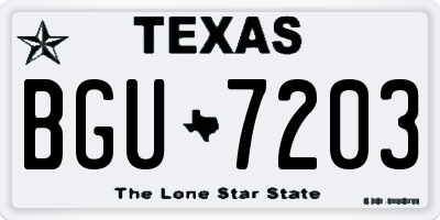 TX license plate BGU7203