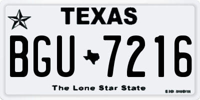 TX license plate BGU7216