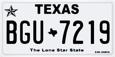 TX license plate BGU7219