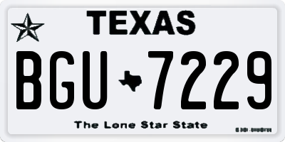 TX license plate BGU7229