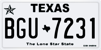TX license plate BGU7231