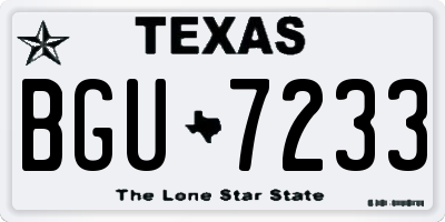 TX license plate BGU7233