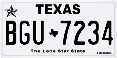 TX license plate BGU7234