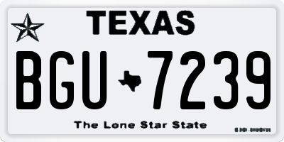 TX license plate BGU7239