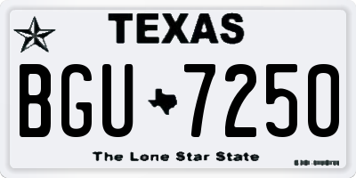 TX license plate BGU7250
