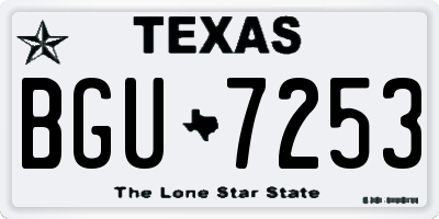 TX license plate BGU7253