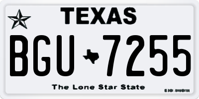 TX license plate BGU7255
