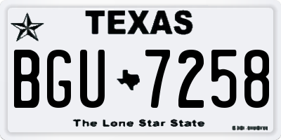 TX license plate BGU7258