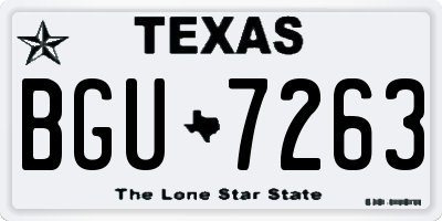 TX license plate BGU7263