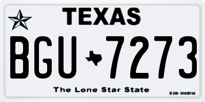 TX license plate BGU7273
