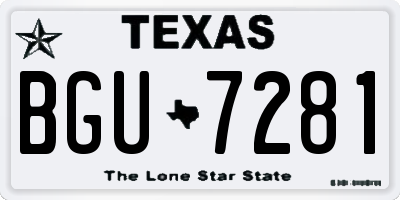 TX license plate BGU7281