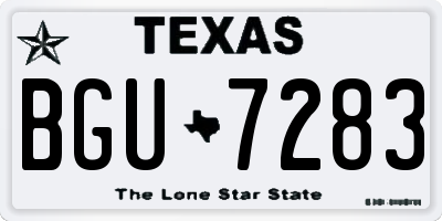 TX license plate BGU7283