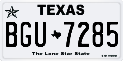 TX license plate BGU7285