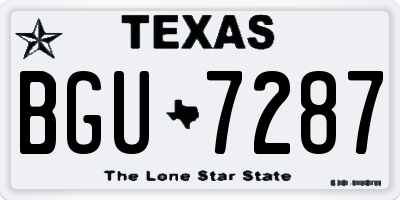 TX license plate BGU7287