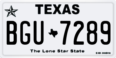 TX license plate BGU7289