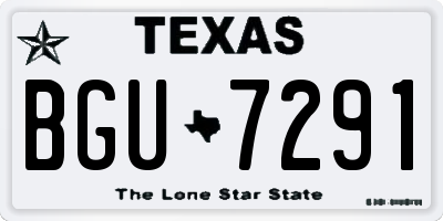 TX license plate BGU7291