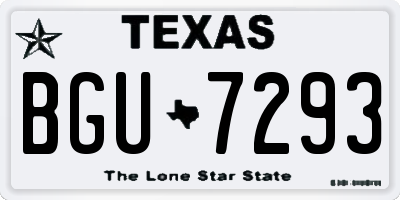 TX license plate BGU7293