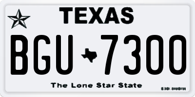 TX license plate BGU7300