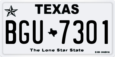 TX license plate BGU7301