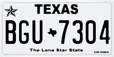 TX license plate BGU7304