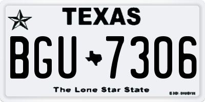TX license plate BGU7306