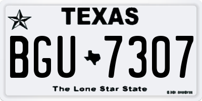 TX license plate BGU7307