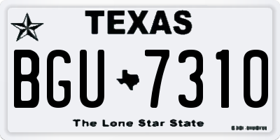 TX license plate BGU7310