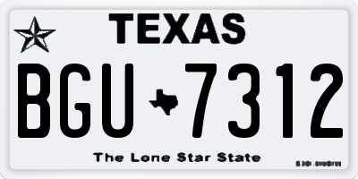 TX license plate BGU7312