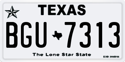 TX license plate BGU7313