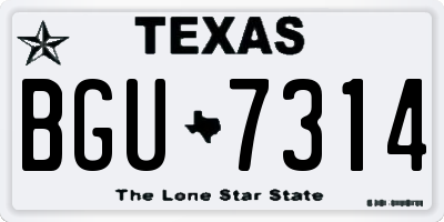 TX license plate BGU7314