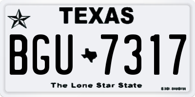 TX license plate BGU7317