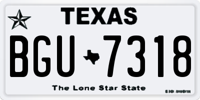 TX license plate BGU7318