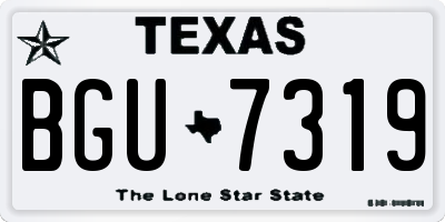 TX license plate BGU7319
