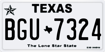 TX license plate BGU7324