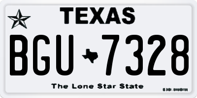 TX license plate BGU7328