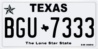TX license plate BGU7333