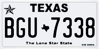 TX license plate BGU7338