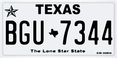 TX license plate BGU7344