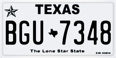 TX license plate BGU7348