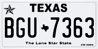 TX license plate BGU7363