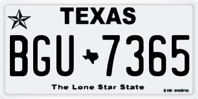 TX license plate BGU7365