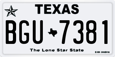 TX license plate BGU7381