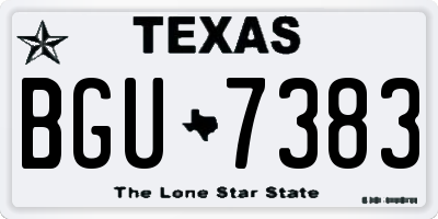 TX license plate BGU7383