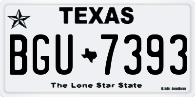 TX license plate BGU7393