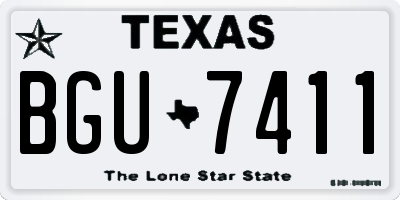 TX license plate BGU7411