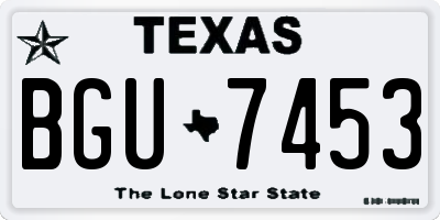 TX license plate BGU7453