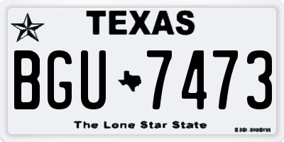 TX license plate BGU7473