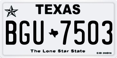 TX license plate BGU7503