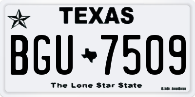 TX license plate BGU7509
